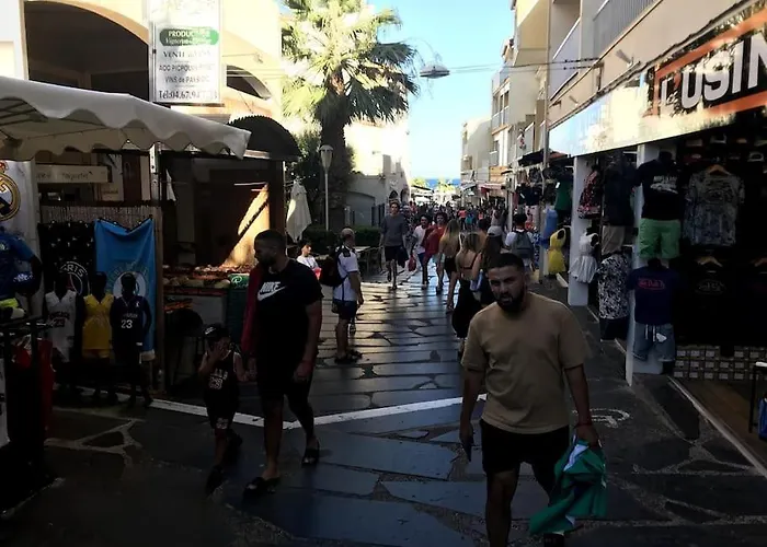 Appartamento Avec Piscine. *